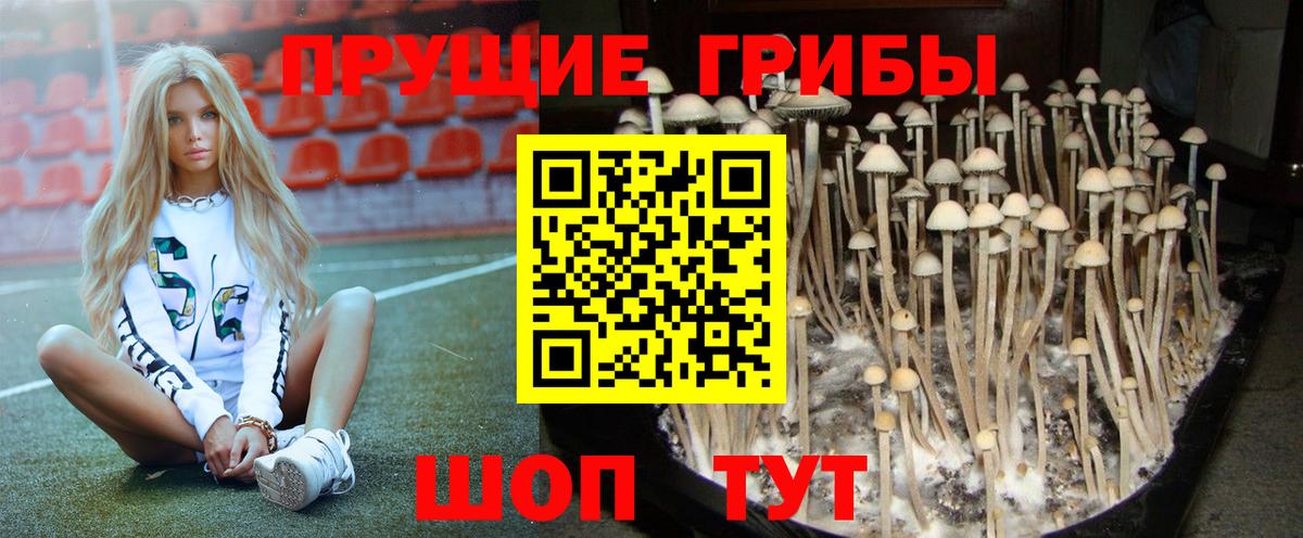 Галлюциногенные грибы мухоморы  Вход с VPN  Камень-на-Оби  Галлюциногенные грибы Magic Shrooms 